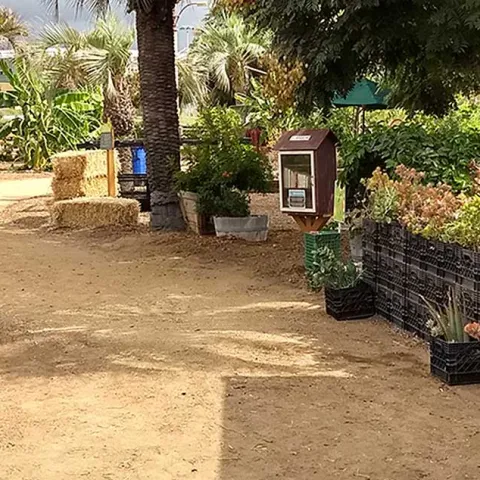 Water Better, Not Wetter - Irvine