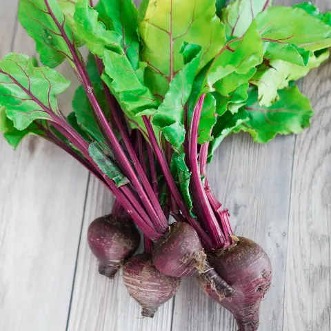 Round purple-red roots, red stems, green leaves
