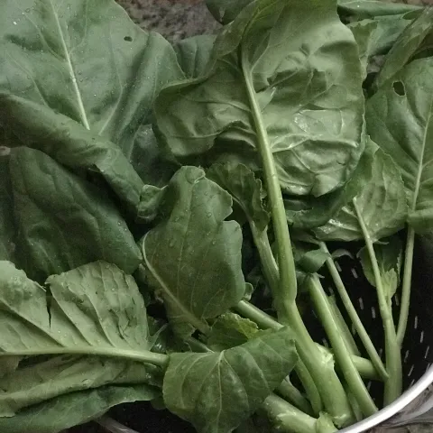 Leafy greens with thick stems