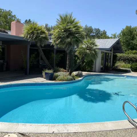 "After" photo of palms by the pool.