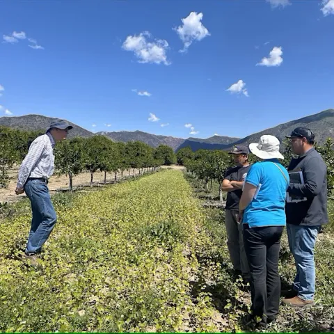 Farmers in field