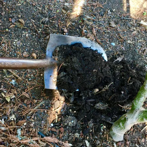 shovel with soil