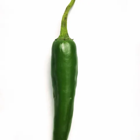 Chile Pepper
