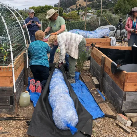 Water conservation Garden