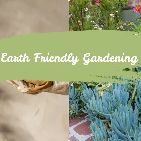 Banner for Earth Friendly Gardening workshops