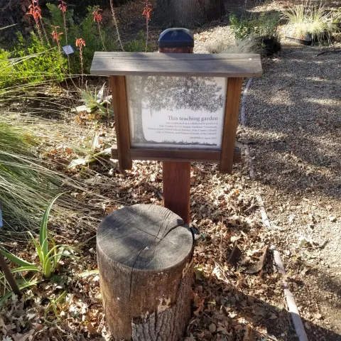 Winters Library Teaching Garden