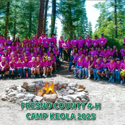 2025 Camp Photo Landscape