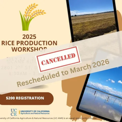 CANCELLED RICE PRODUCTION WORKSHOP