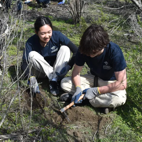 Teen volunteers restoring wetland habitat at the Los Cerritos Wetlands