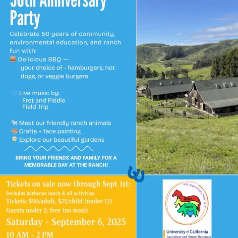50th Anniversary Flyer