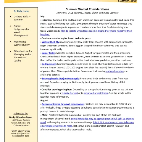 Glenn County UCCE Sacramento Valley Walnut Newsletter - Summer 2025