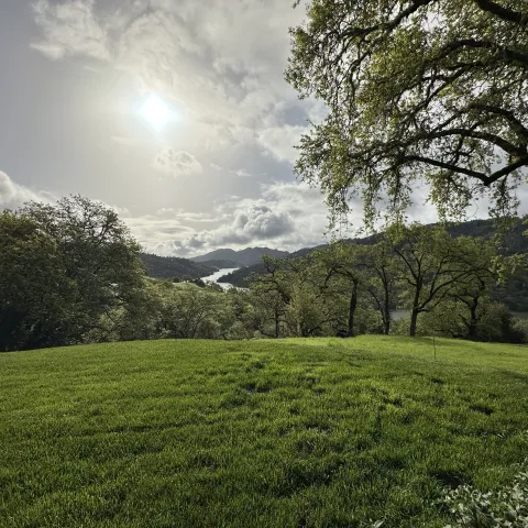 California rangeland