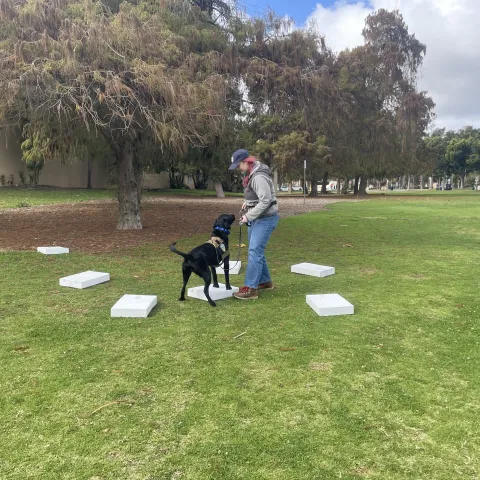 Person with a black dog that is standing ontop of a white box