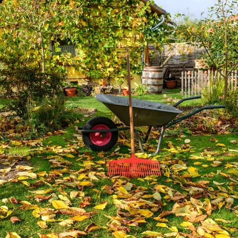 Preparing your garden for fall.