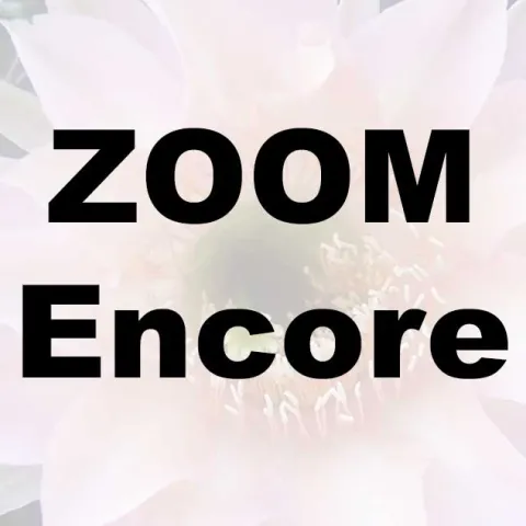 Grow Beautiful Succulents – Zoom Encore