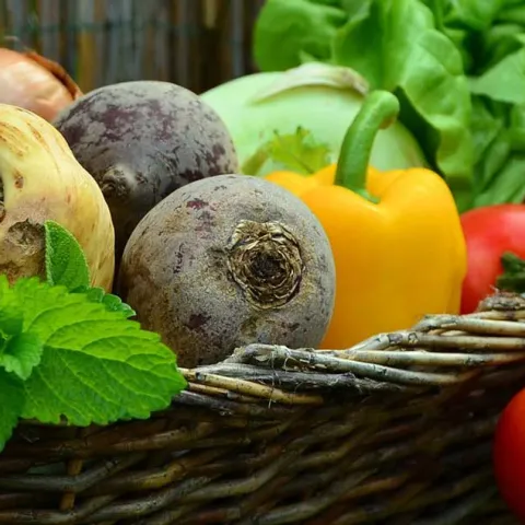 A Year of Good Food - San Clemente