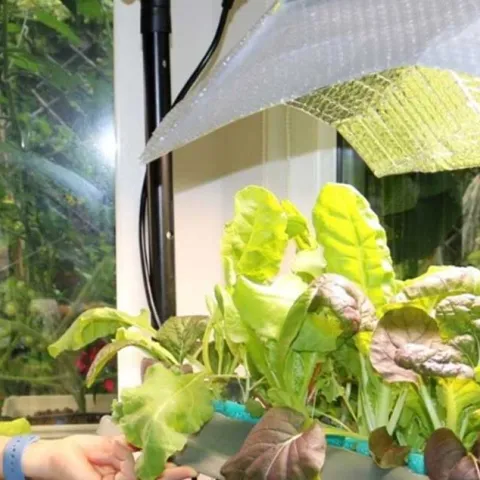 Hydroponic Gardening - Orange County