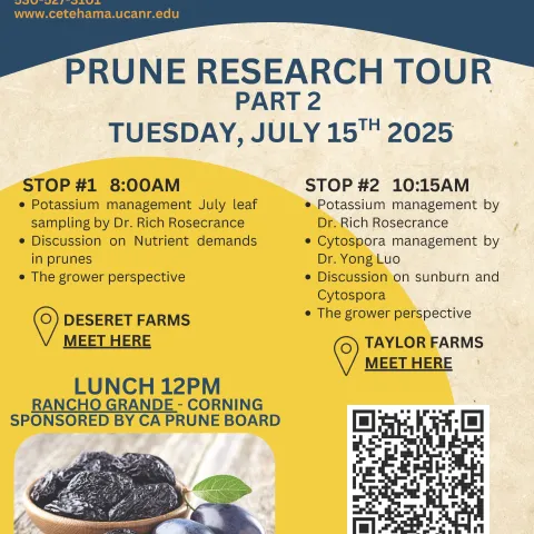 Prune Research Tour - Part 2