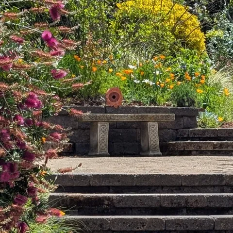 Right plant right place free garden webinar