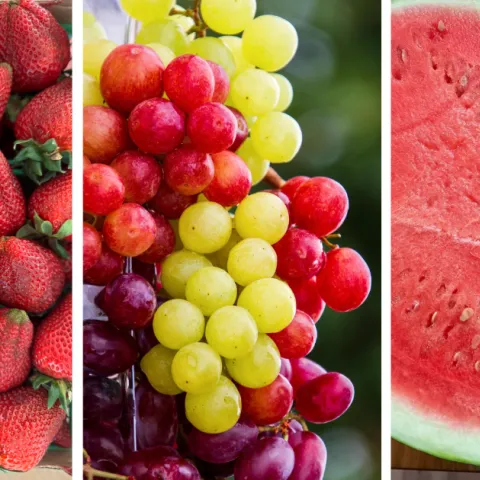 Triptych Image Summerfruit