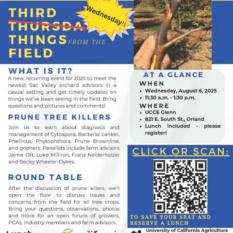 TTTF - AUGUST 2025 on Wednesday!