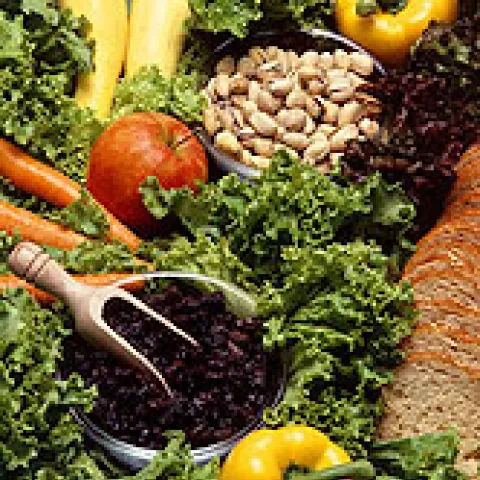 food illustration from USDA