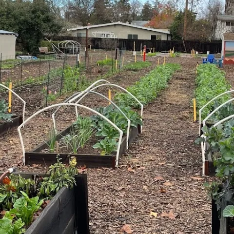 Grace garden winter crops
