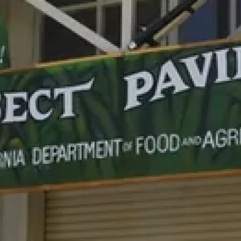 Insect Pavilion at California State Fair. (Photo by Kathy Keatley Garvey)
