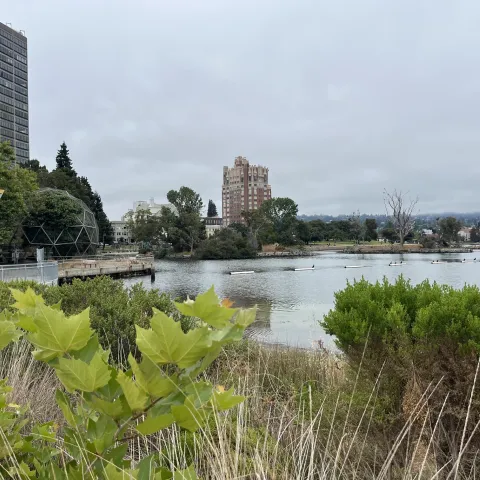 Lake Merritt