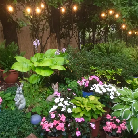garden featuring hanging lights and a variety of plants and flowers