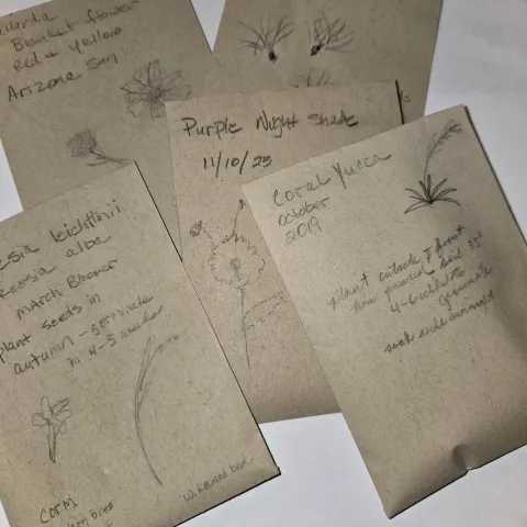 seed packets