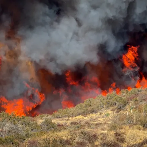 dry grass on a sloping hillside caught in a blaze of fire