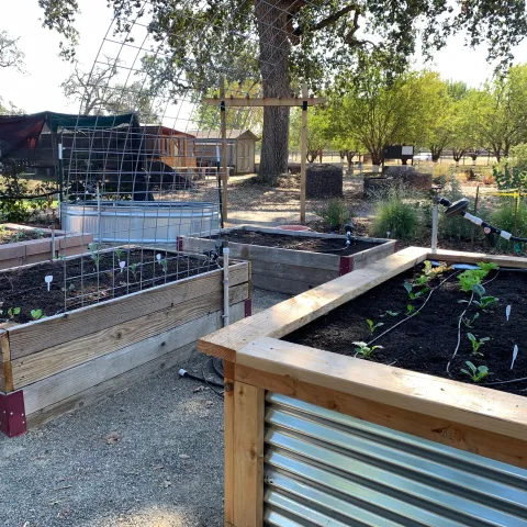 A variety of raised bed styles can be seen at the Master Gardener Demonstration Garden. Laura Kling