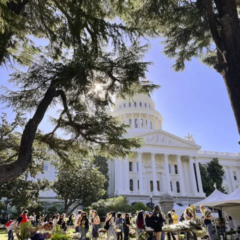 ag day picture of capitol