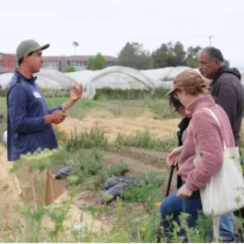 Cale Program Field Day