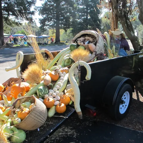 2025 Fall Faire Sept. 20 1-4 p.m. 1710 Soscol Ave.