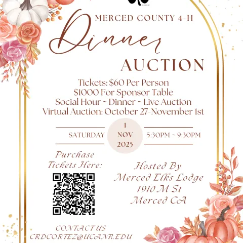 Dinner Auction Flyer