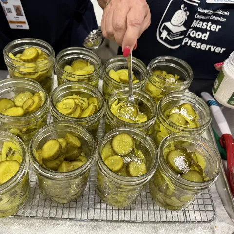 b and b pickles