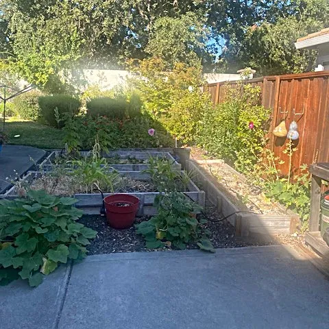 garden as seen in shade