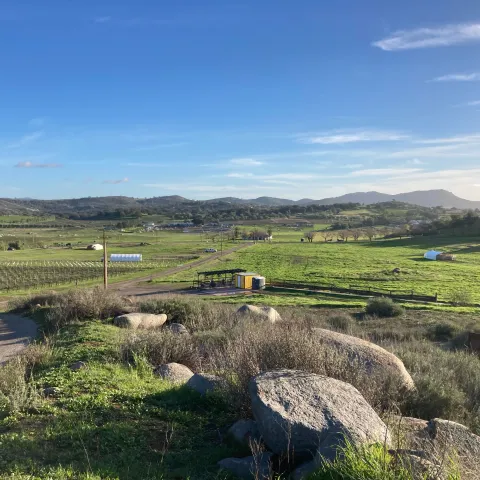Photo of pastures with chicken schooners