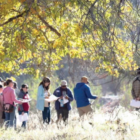 People standing underneath a large oak tree for the 8th Annual Oak Symposium