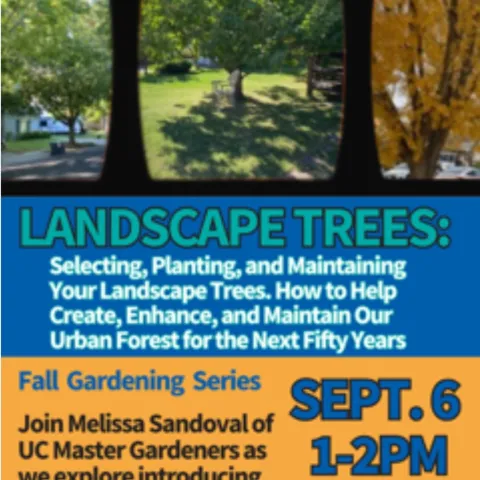 Landscape trees for your garden