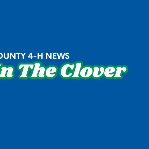 In the Clover News