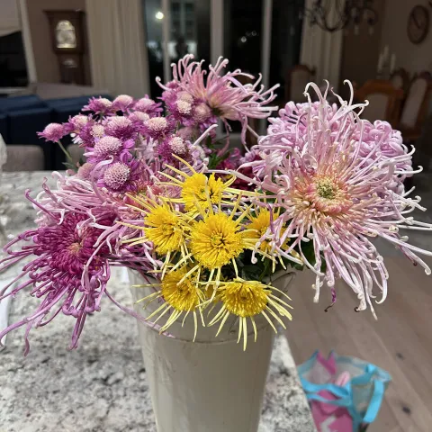 Photo of a bouquet with a variety of chrysanthemums from the garden.