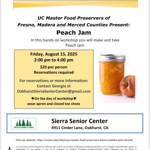 Peach Jam Workshop Flyer