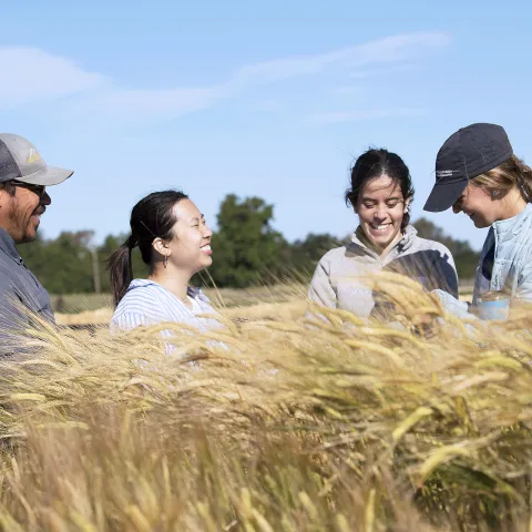 Group of people smiling in a field during the Small Grains and Alfalfa Field Day