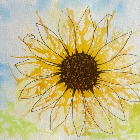 Sunflower