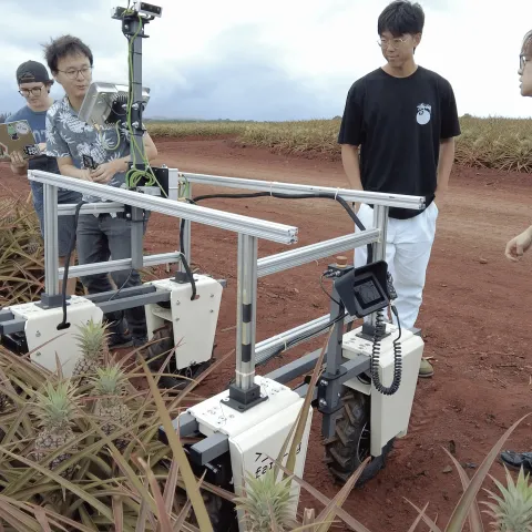 Team members from the University of Hawaiʻi at Mānoa test their robot in a pineapple field