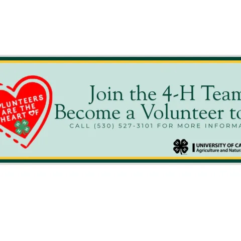 volunteer banner3
