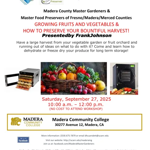 Dehydration Worskshop